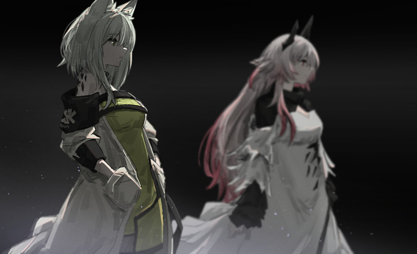 Kal'Tsit (Arknights) Rule 34 Image