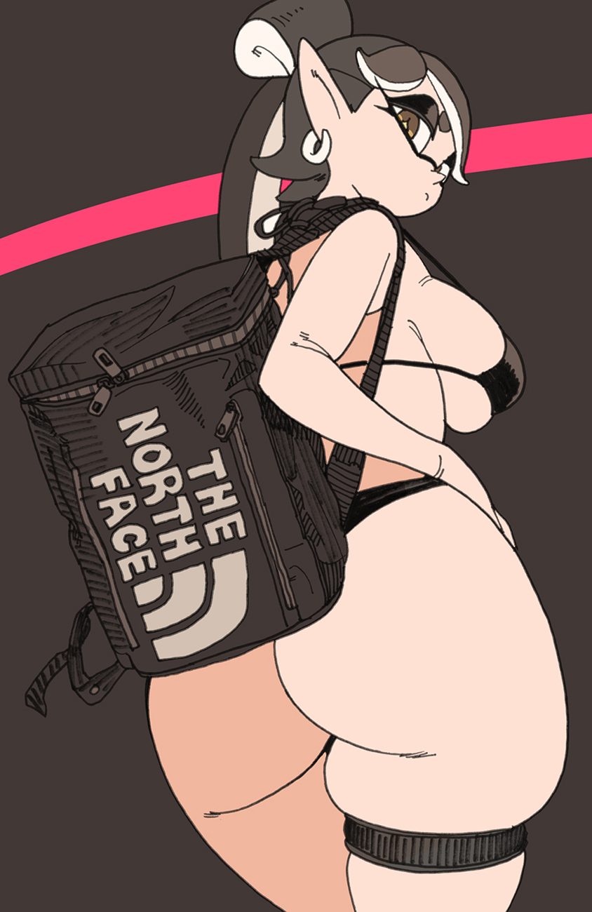 Callie (Splatoon) Rule 34 Image