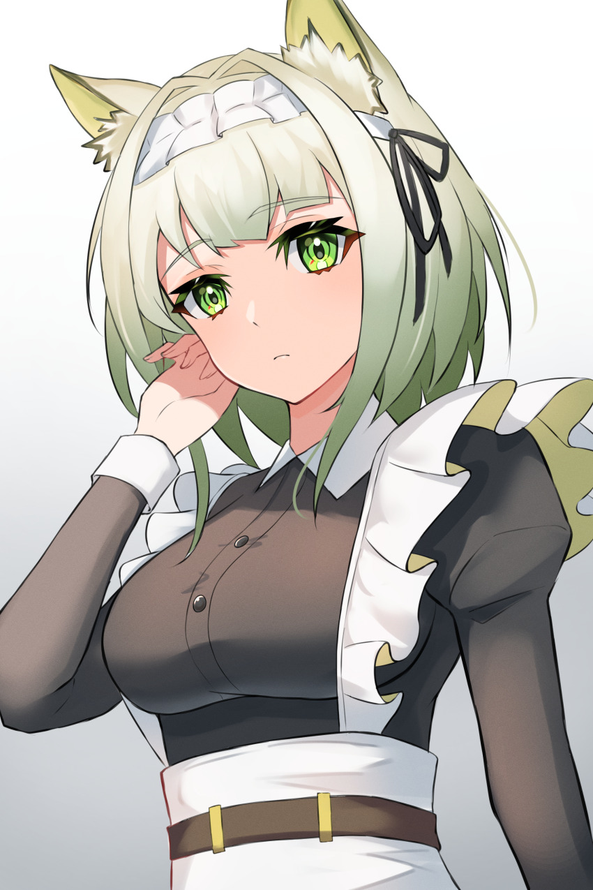 Kal'Tsit (Arknights) Rule 34 Image