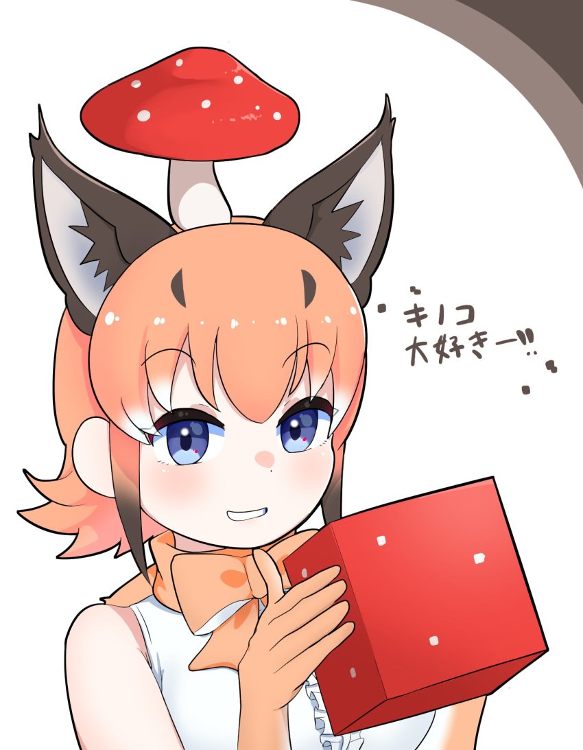Caracal (Kemono Friends) Rule 34 Image