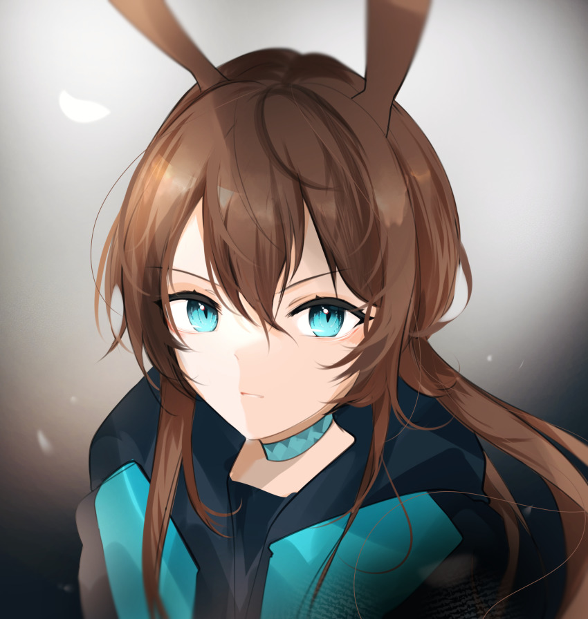 Amiya (Arknights) Rule 34 Image