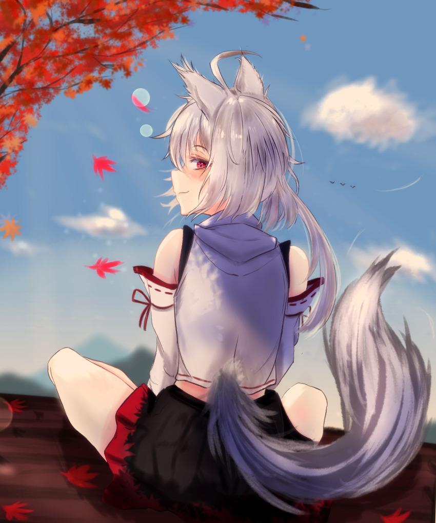Inubashiri Momiji (Touhou) Rule 34 Image