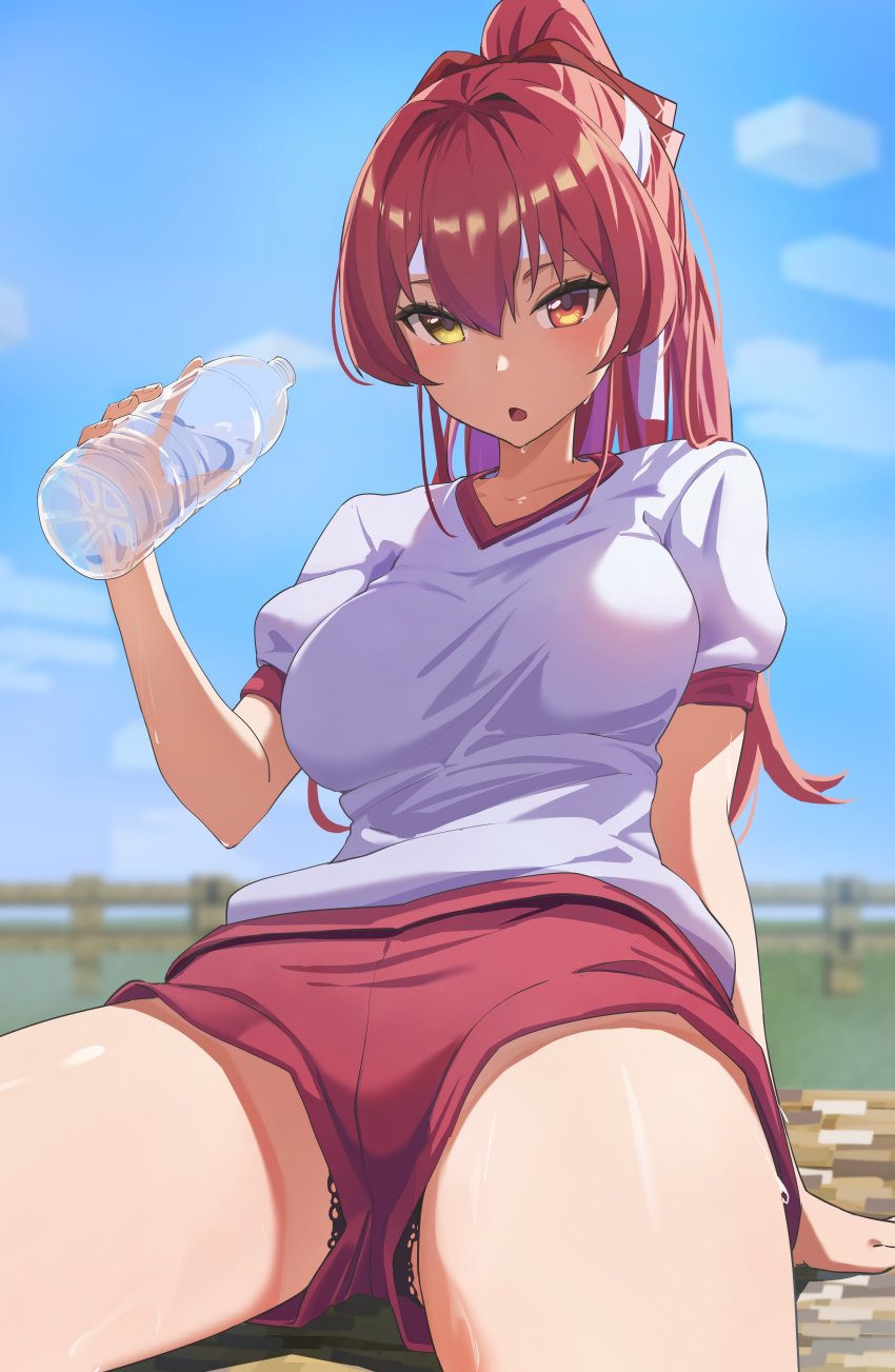 Houshou Marine (Hololive) Rule 34 Image