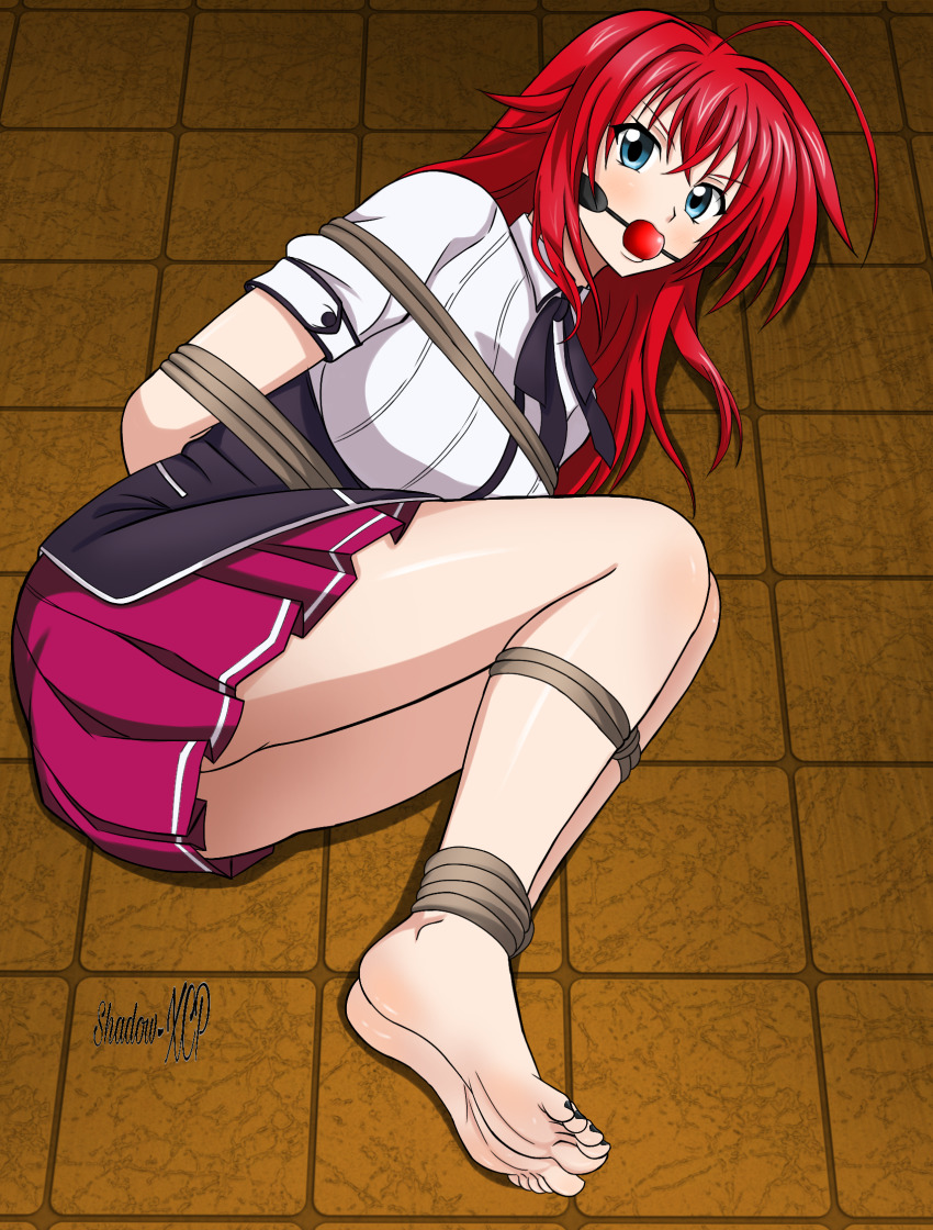 Rias Gremory (High School Dxd) Rule 34 Image
