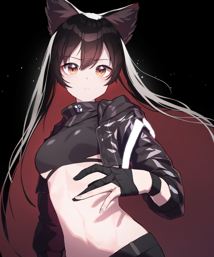 Texas (Arknights) Rule 34 Image