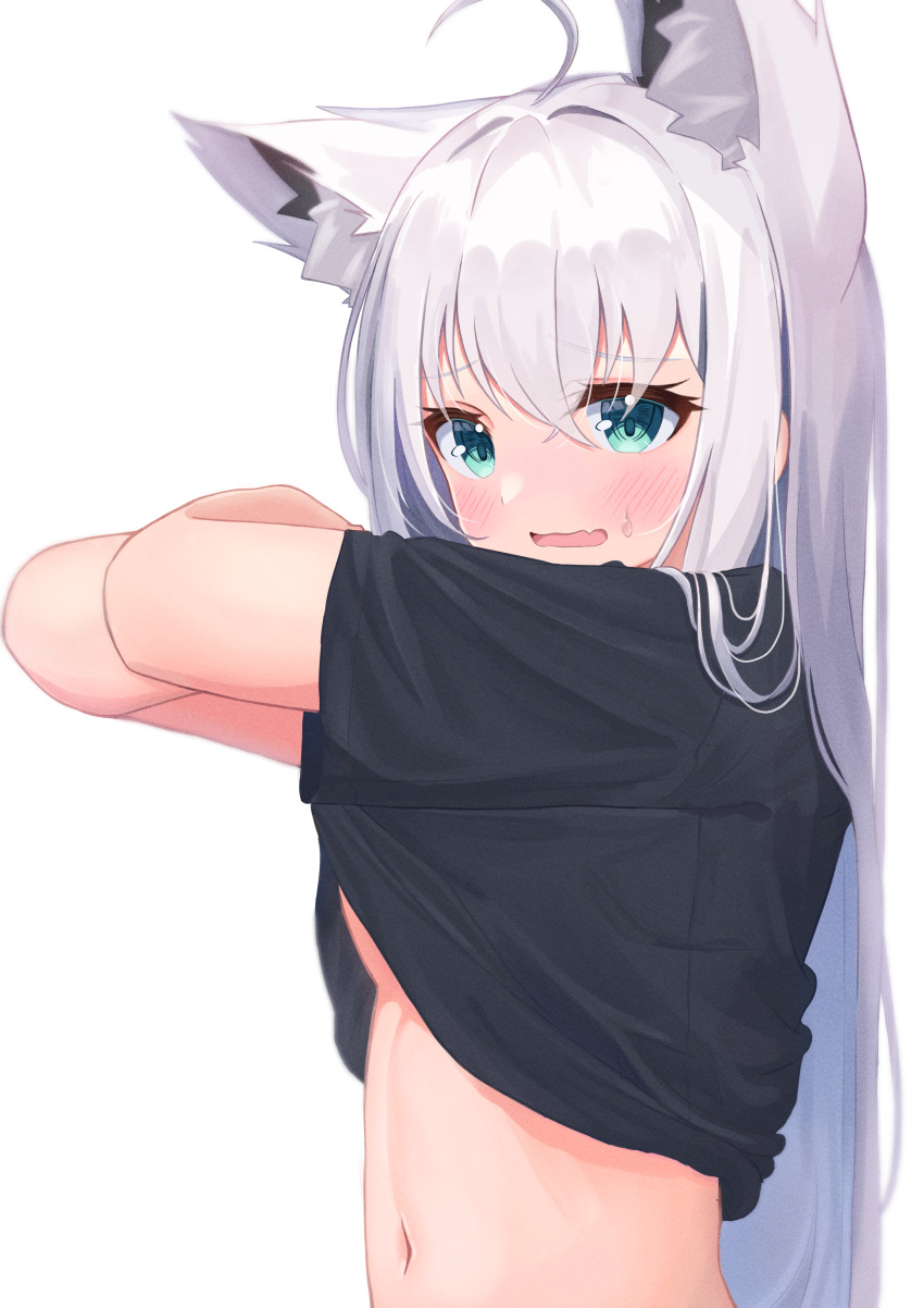 Shirakami Fubuki (Hololive) Rule 34 Image