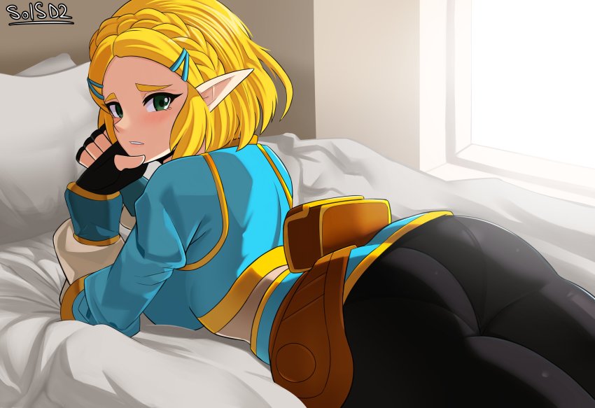 Princess Zelda (Nintendo) Rule 34 Image