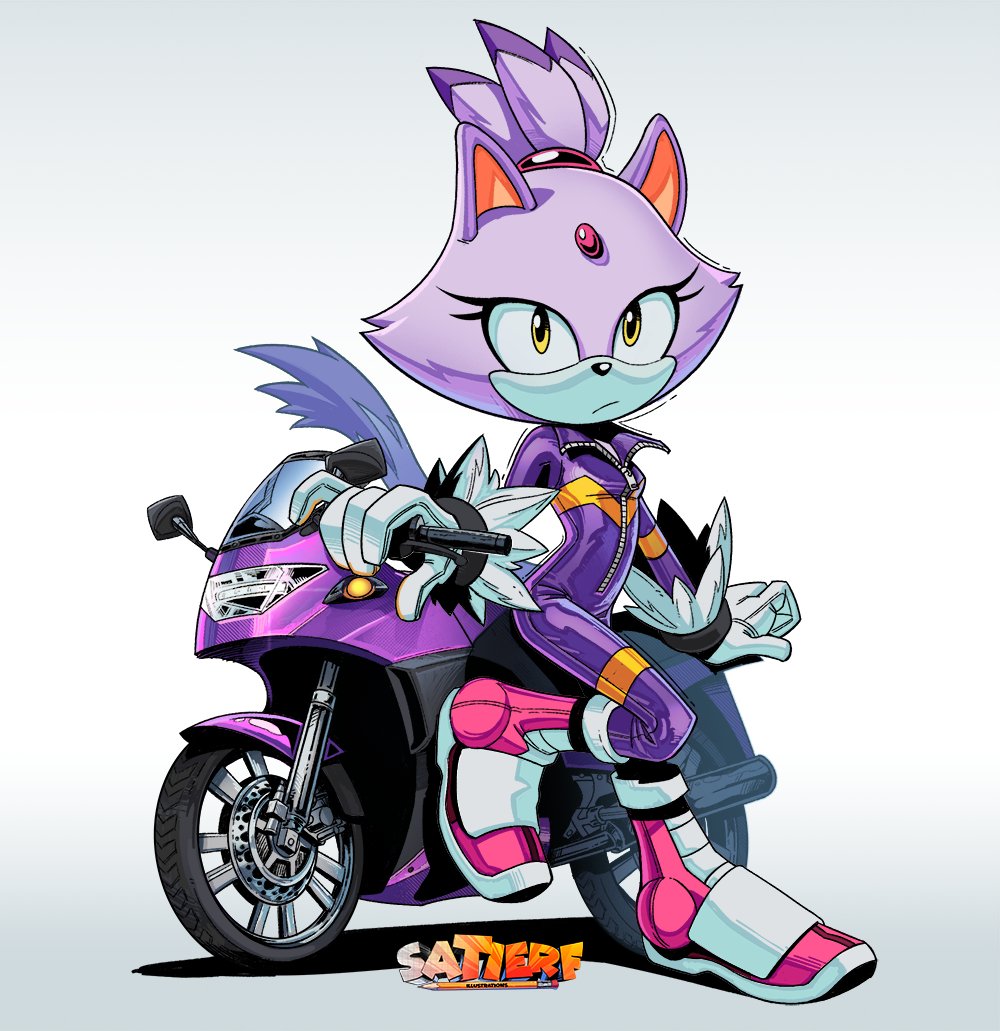Blaze The Cat (Sonic (Series)) Rule 34 Image