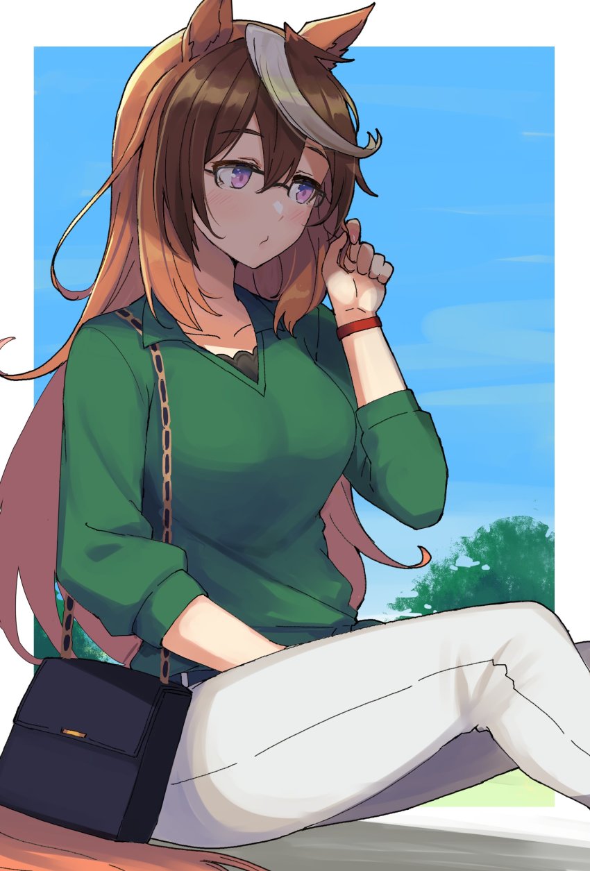 Symboli Rudolf (Casual) (Umamusume) Rule 34 Image