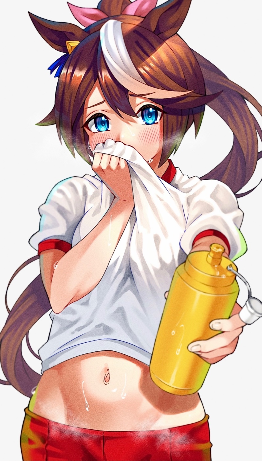Tokai Teio (Umamusume) Rule 34 Image
