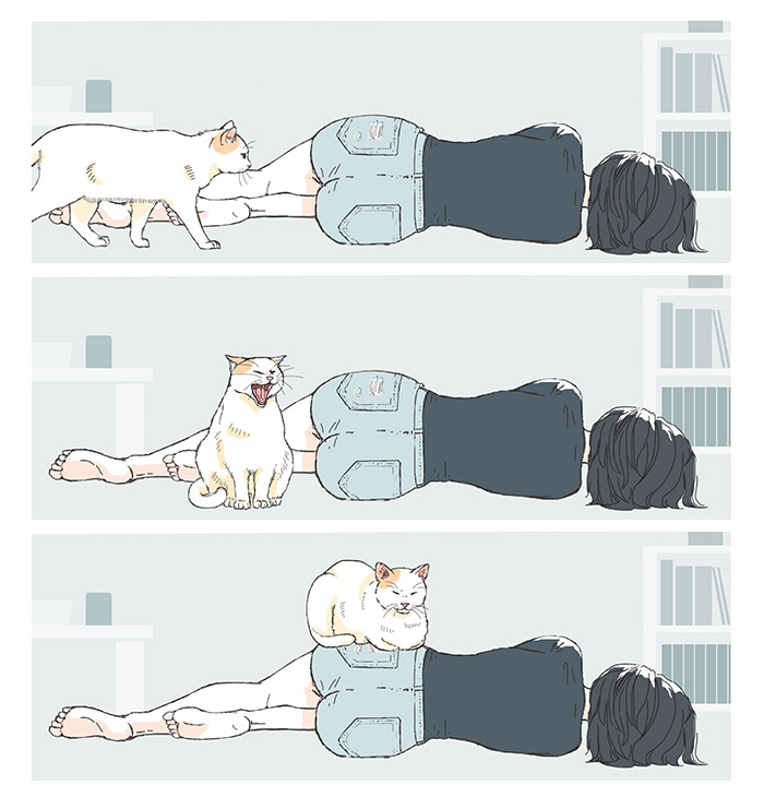 3koma Rule 34 Image