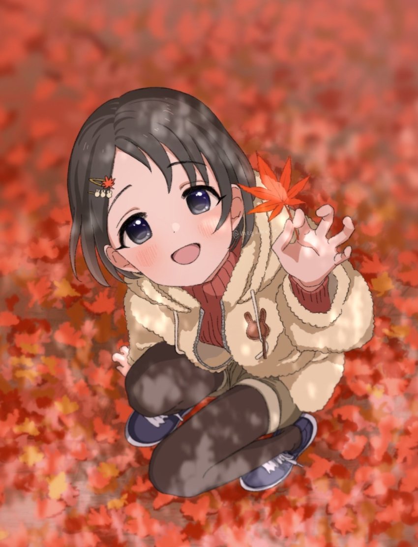 Sasaki Chie (Idolmaster) Rule 34 Image