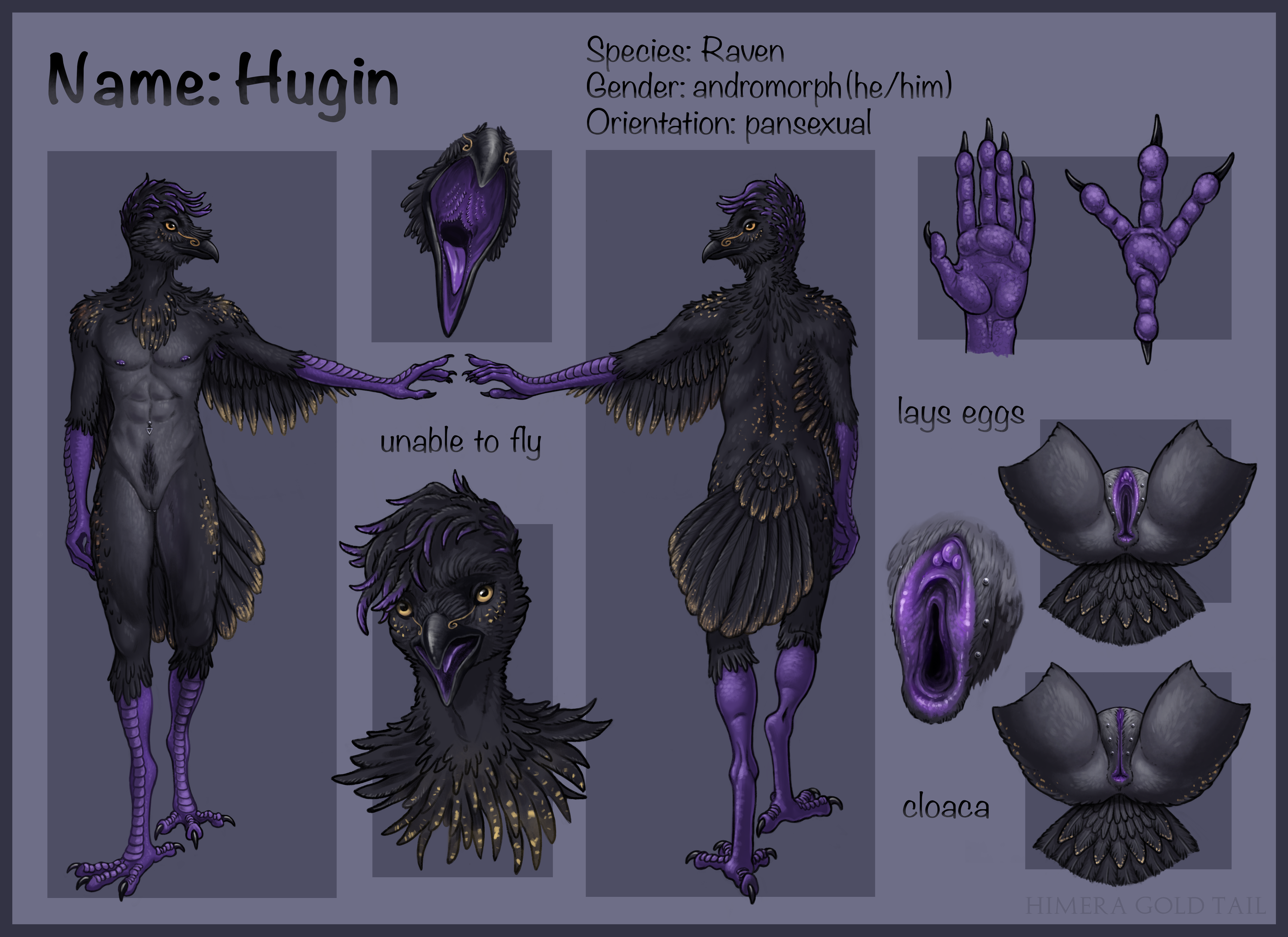 Corvus (Genus) Rule 34 Image