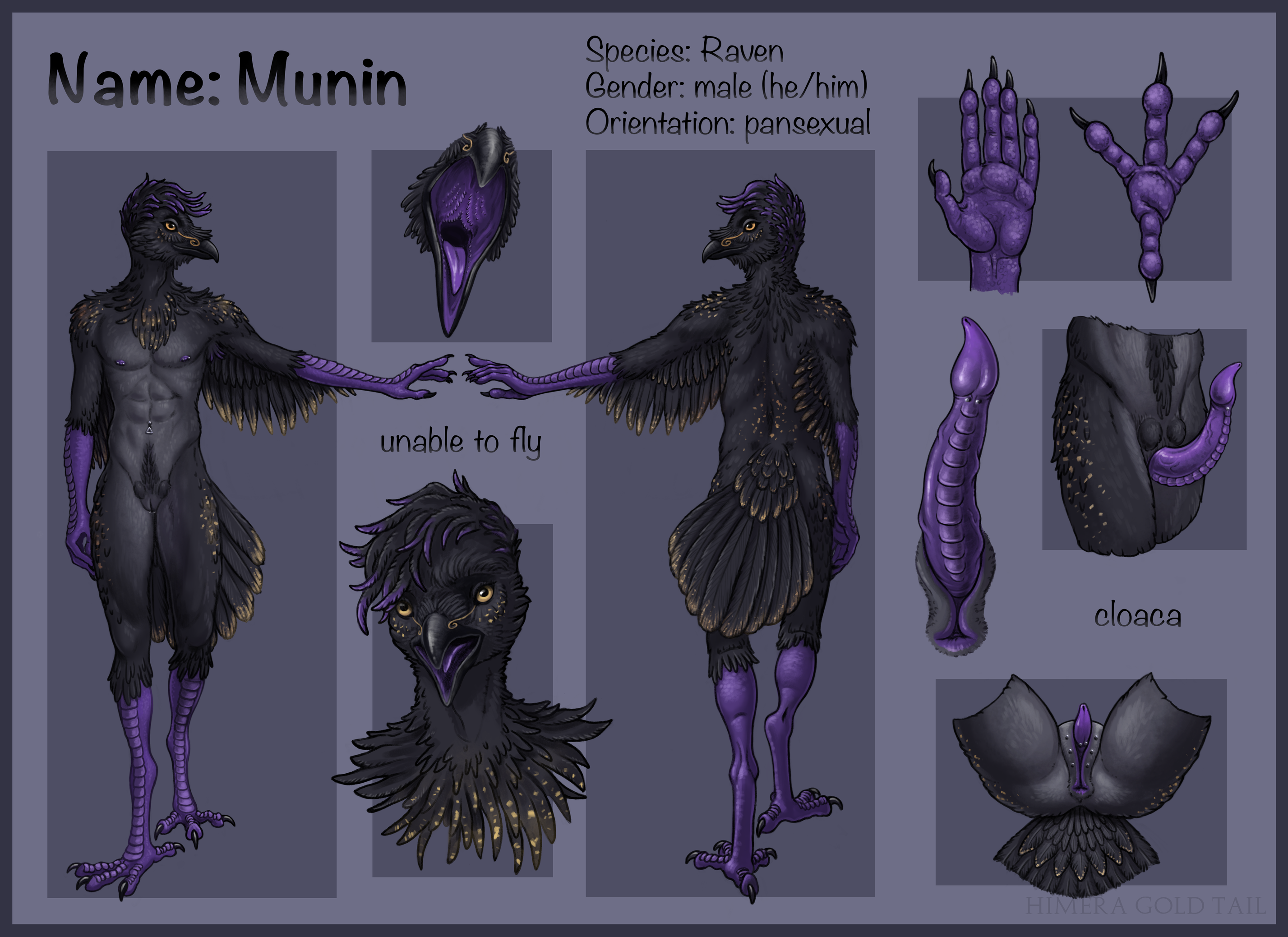 Corvus (Genus) Rule 34 Image