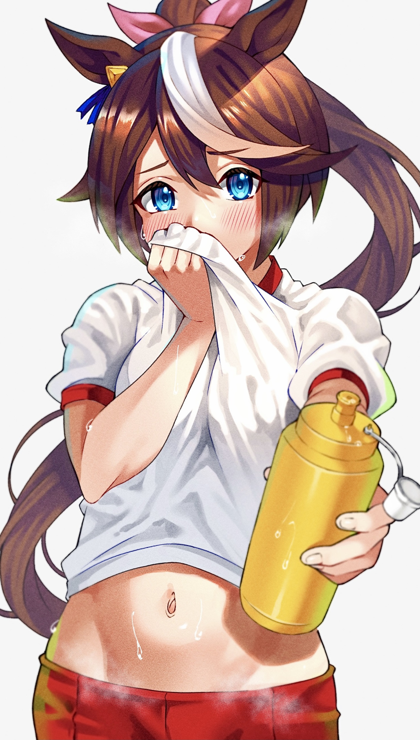 Tokai Teio (Umamusume) Rule 34 Image
