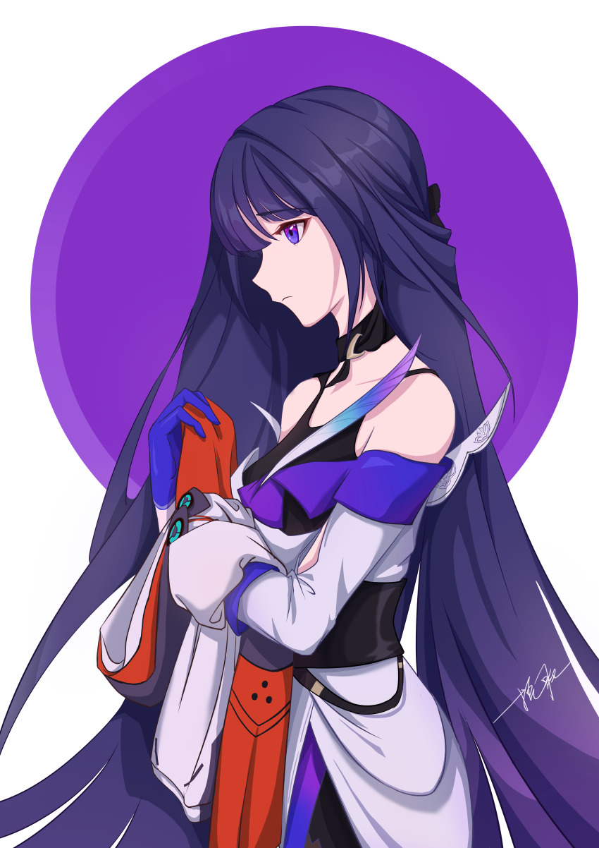 Raiden Mei (Honkai (Series)) Rule 34 Image