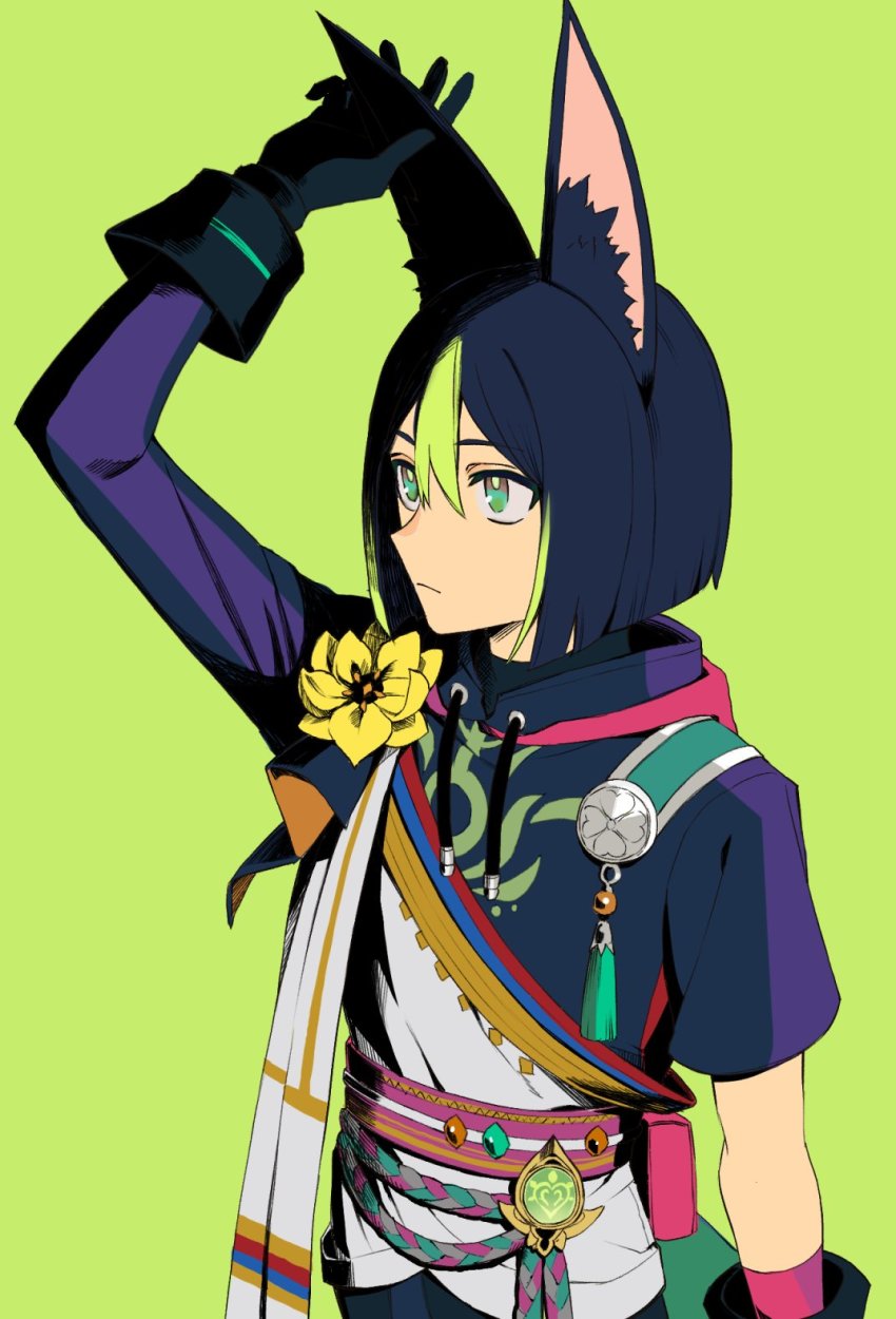 Tighnari (Genshin Impact) Rule 34 Image