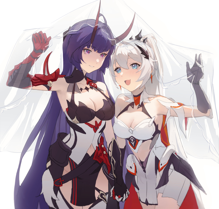 Kiana Kaslana (Honkai (Series)) Rule 34 Image