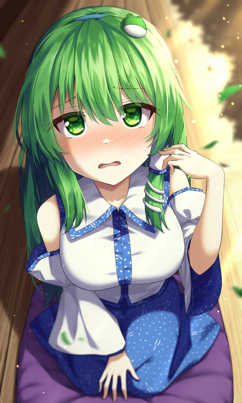 Kochiya Sanae (Touhou) Rule 34 Image