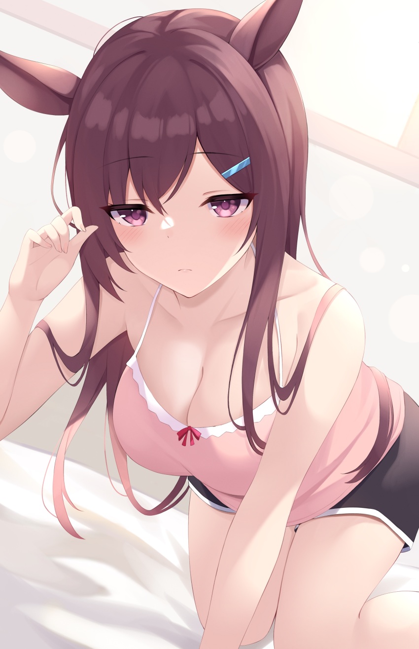 Mejiro Dober (Umamusume) Rule 34 Image
