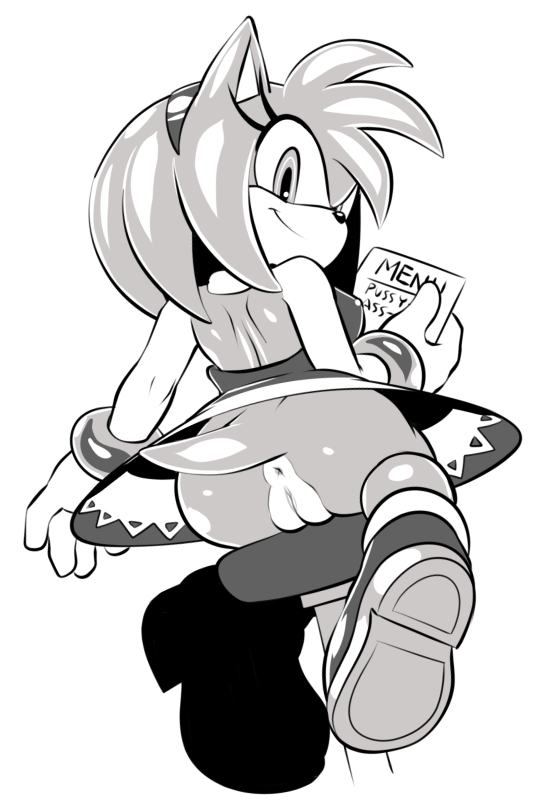 Amy Rose (Sega) Rule 34 Image