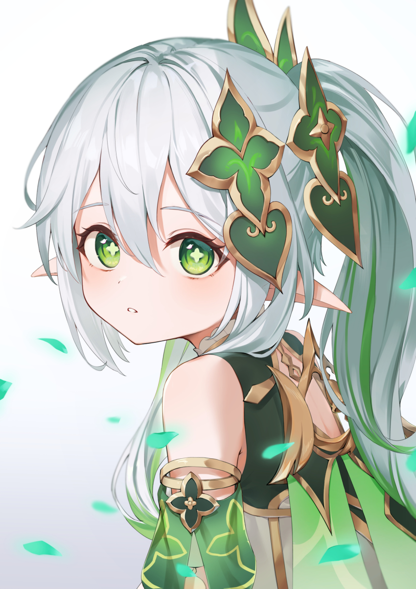Nahida (Genshin Impact) Rule 34 Image