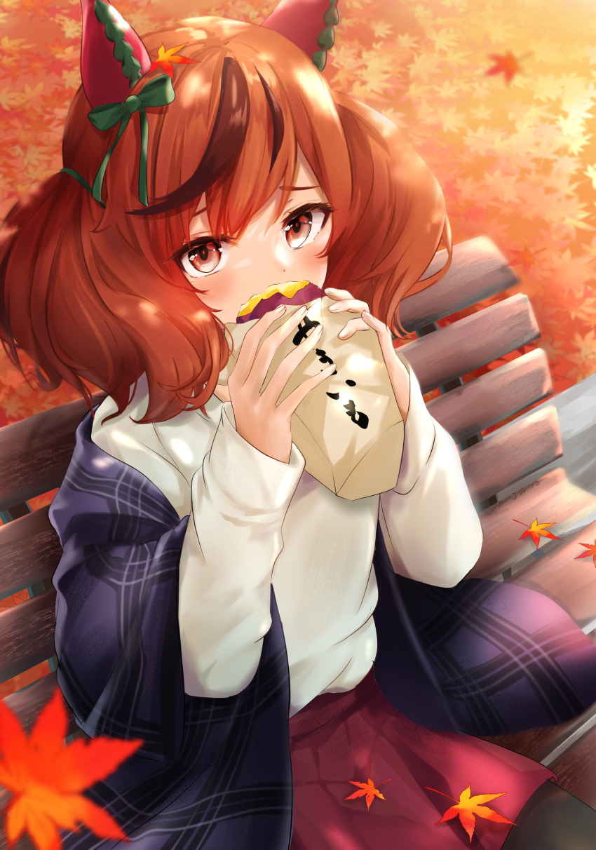 Nice Nature (Umamusume) Rule 34 Image