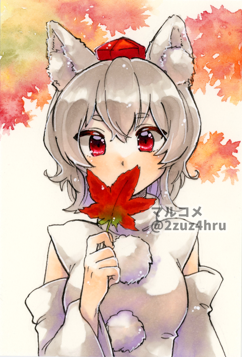 Inubashiri Momiji (Touhou) Rule 34 Image