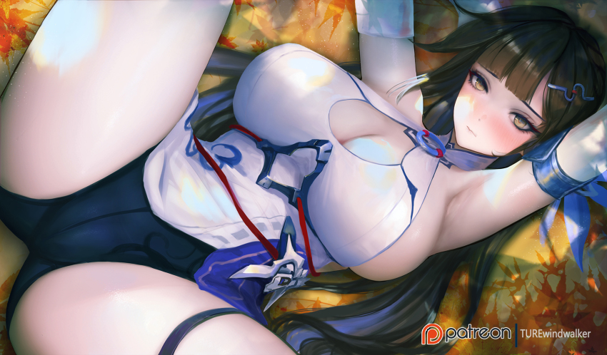 Li Sushang (Honkai (Series)) Rule 34 Image