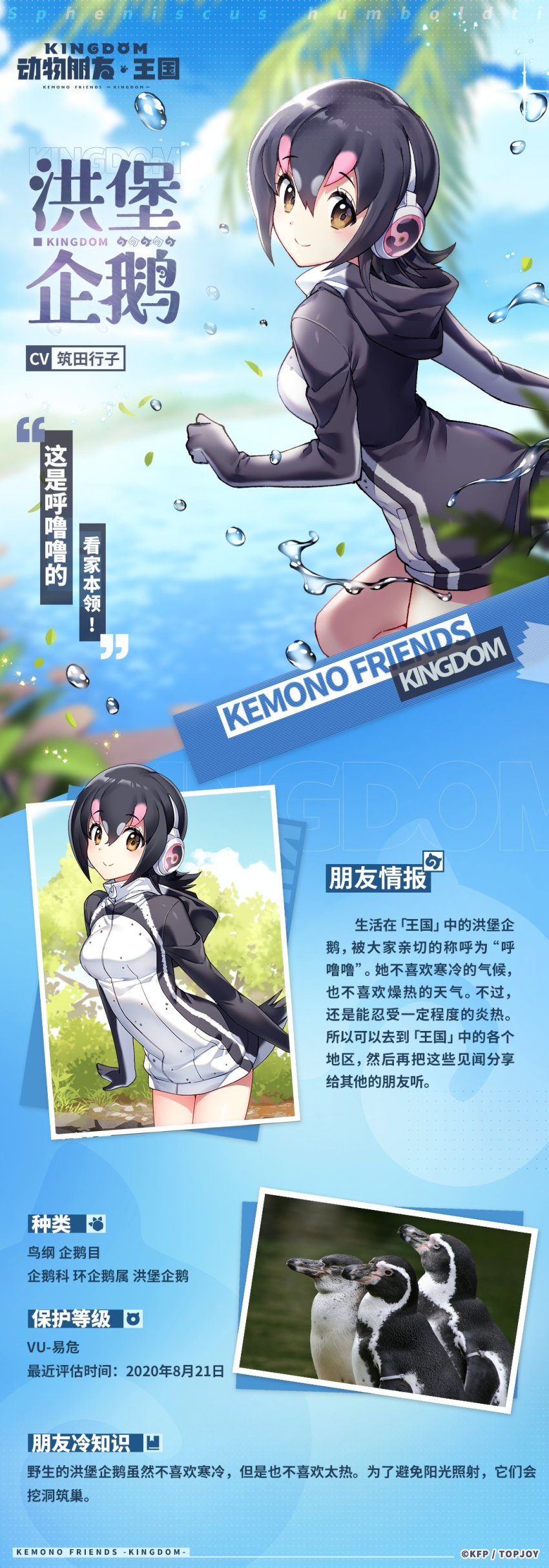 Humboldt Penguin (Kemono Friends) Rule 34 Image