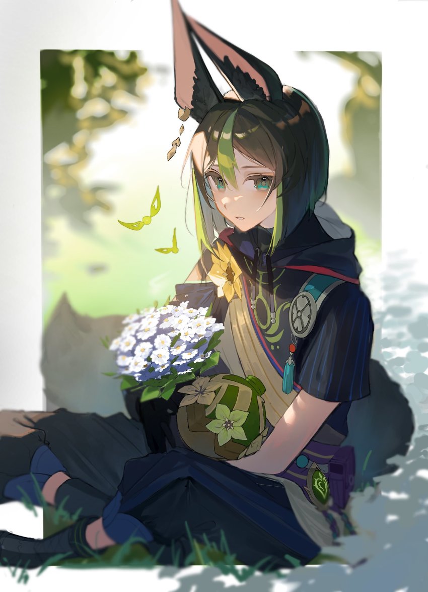 Tighnari (Genshin Impact) Rule 34 Image