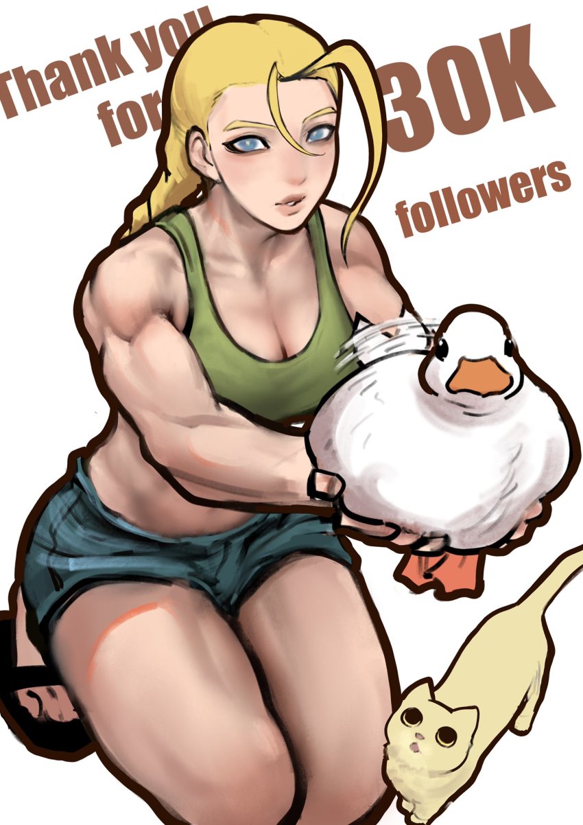Cammy White (Street Fighter) Rule 34 Image