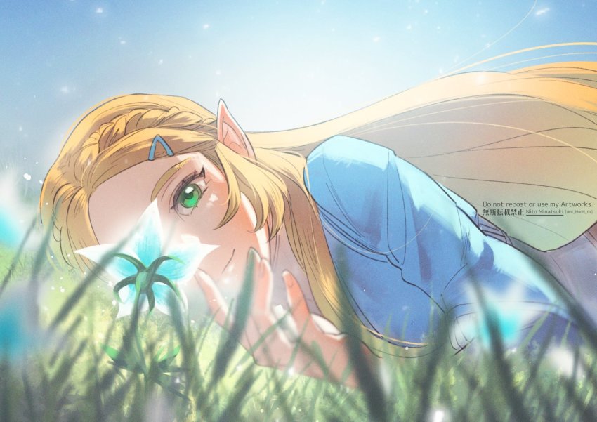 Princess Zelda (Nintendo) Rule 34 Image