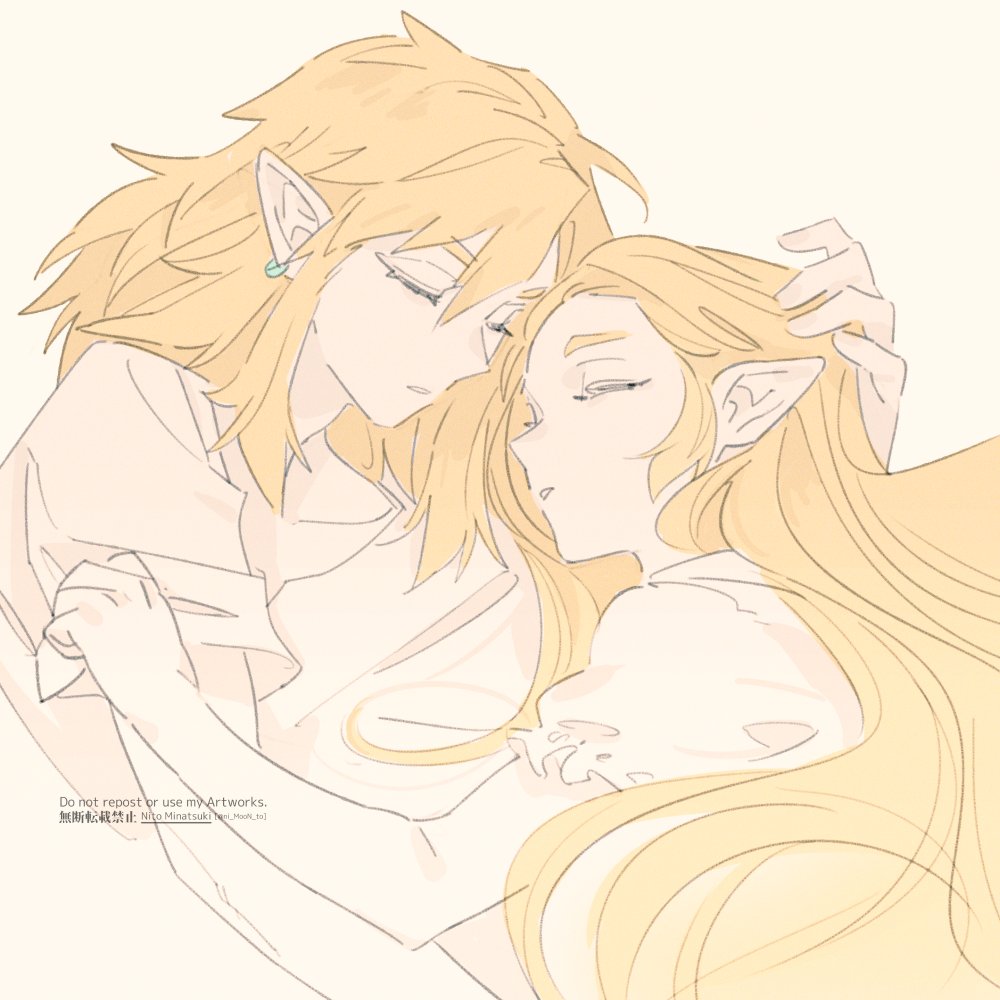 Link (Nintendo) Rule 34 Image