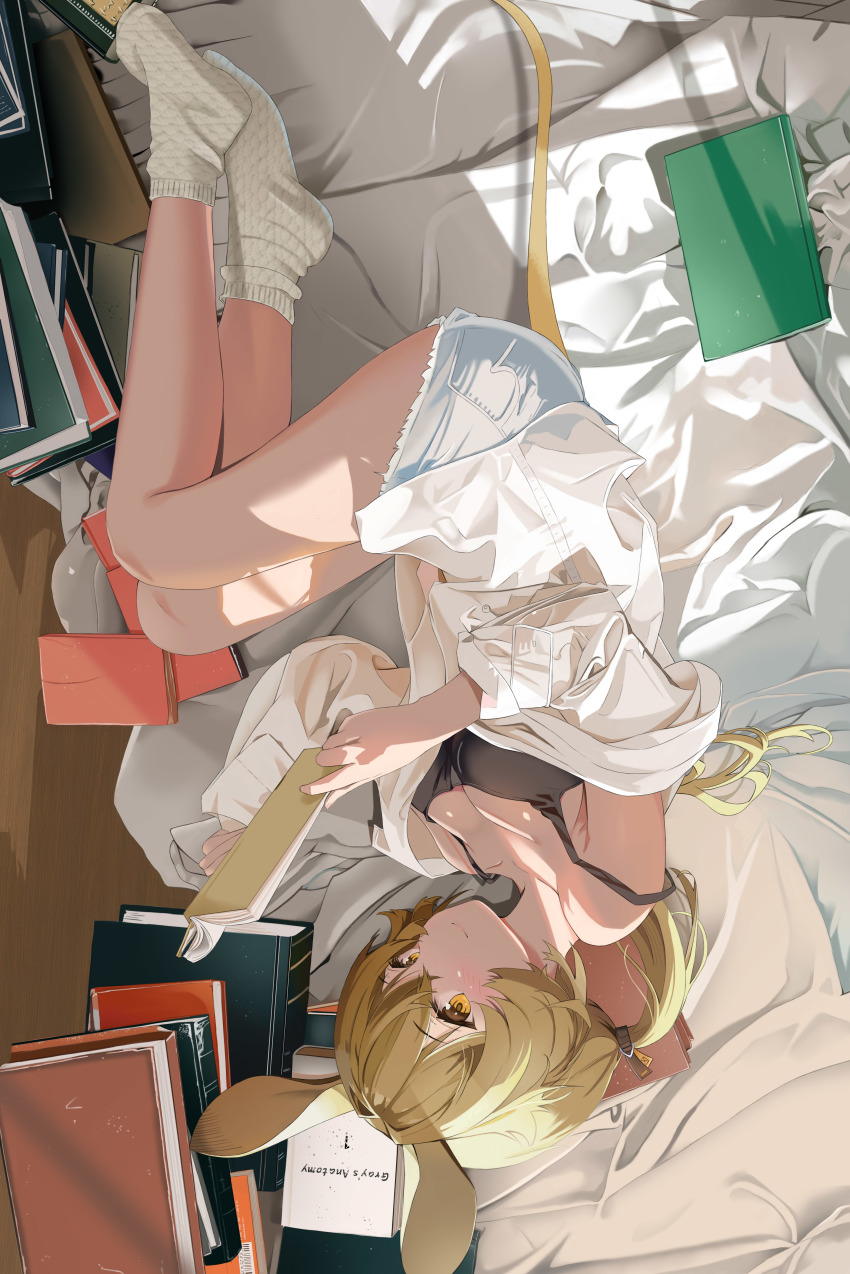 Dorothy (Arknights) Rule 34 Image
