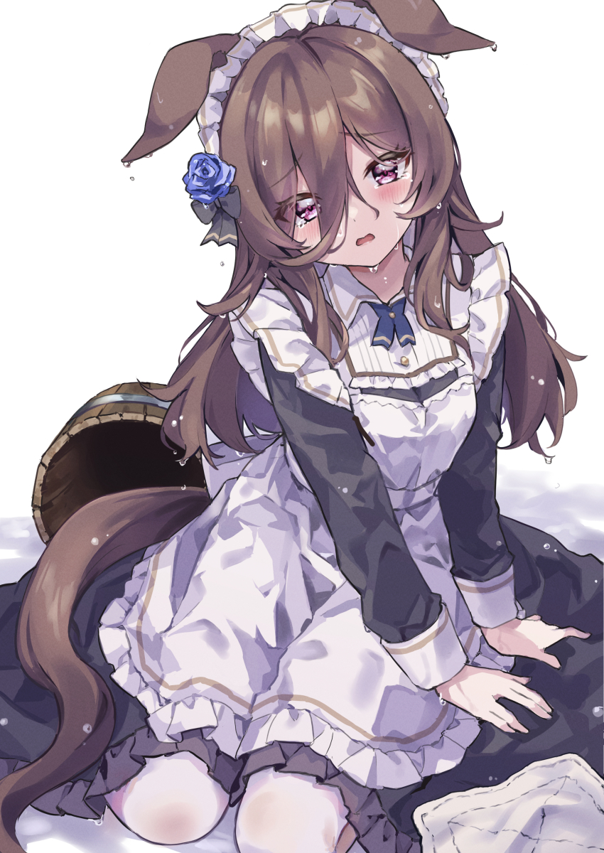 Rice Shower (Umamusume) Rule 34 Image