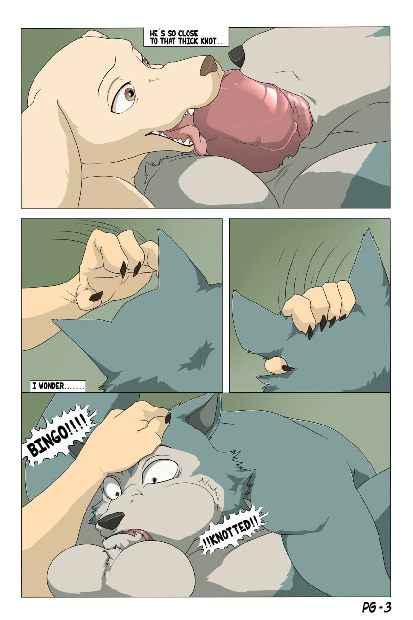 Jack (Beastars) Rule 34 Image