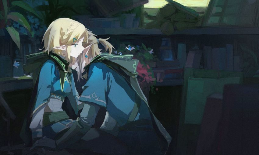 Link (Nintendo) Rule 34 Image