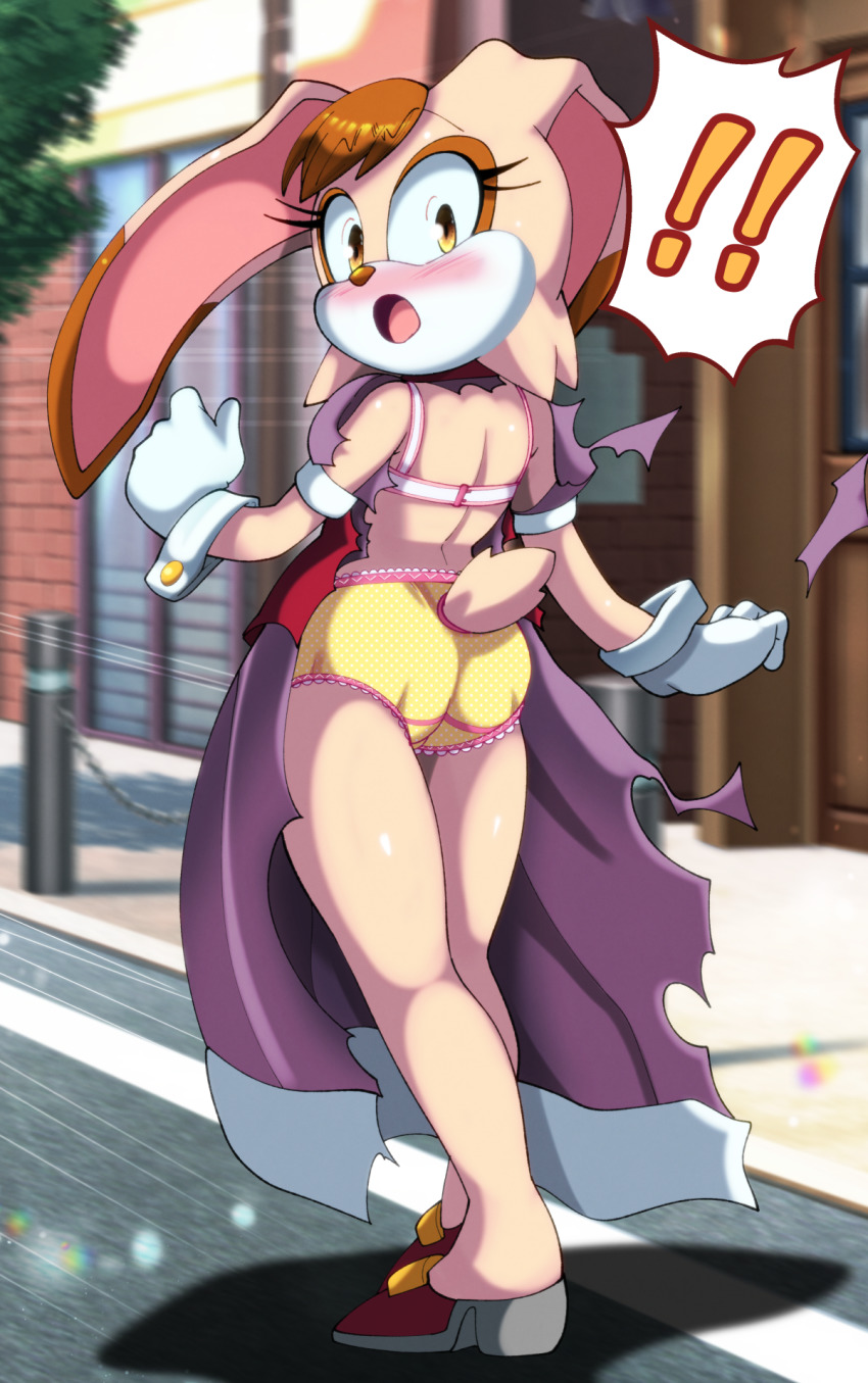 Vanilla The Rabbit (Sonic (Series)) Rule 34 Image