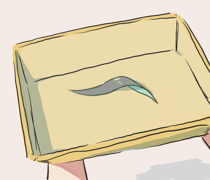 Alhaitham (Genshin Impact) Rule 34 Image