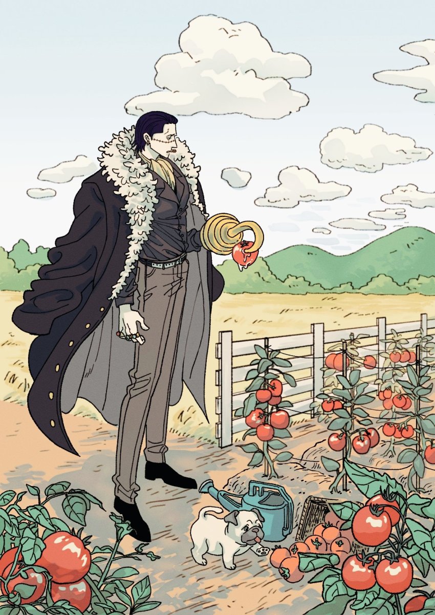 Crocodile (One Piece) Rule 34 Image
