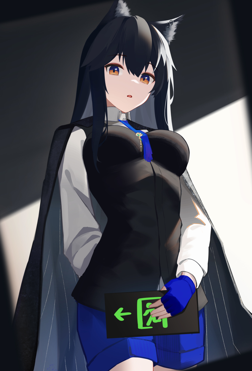 Texas (Arknights) Rule 34 Image