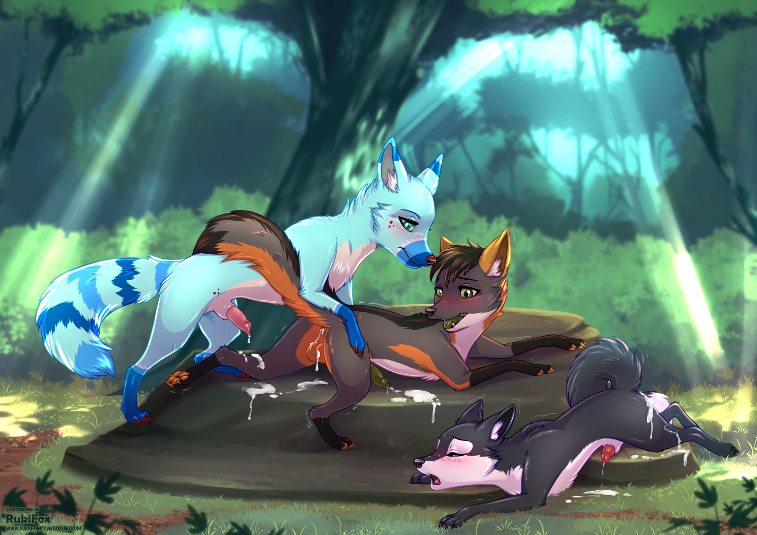 Original Characters (Fin The Fox) Rule 34 Image