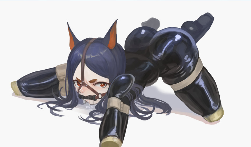 Dobermann (Arknights) Rule 34 Image