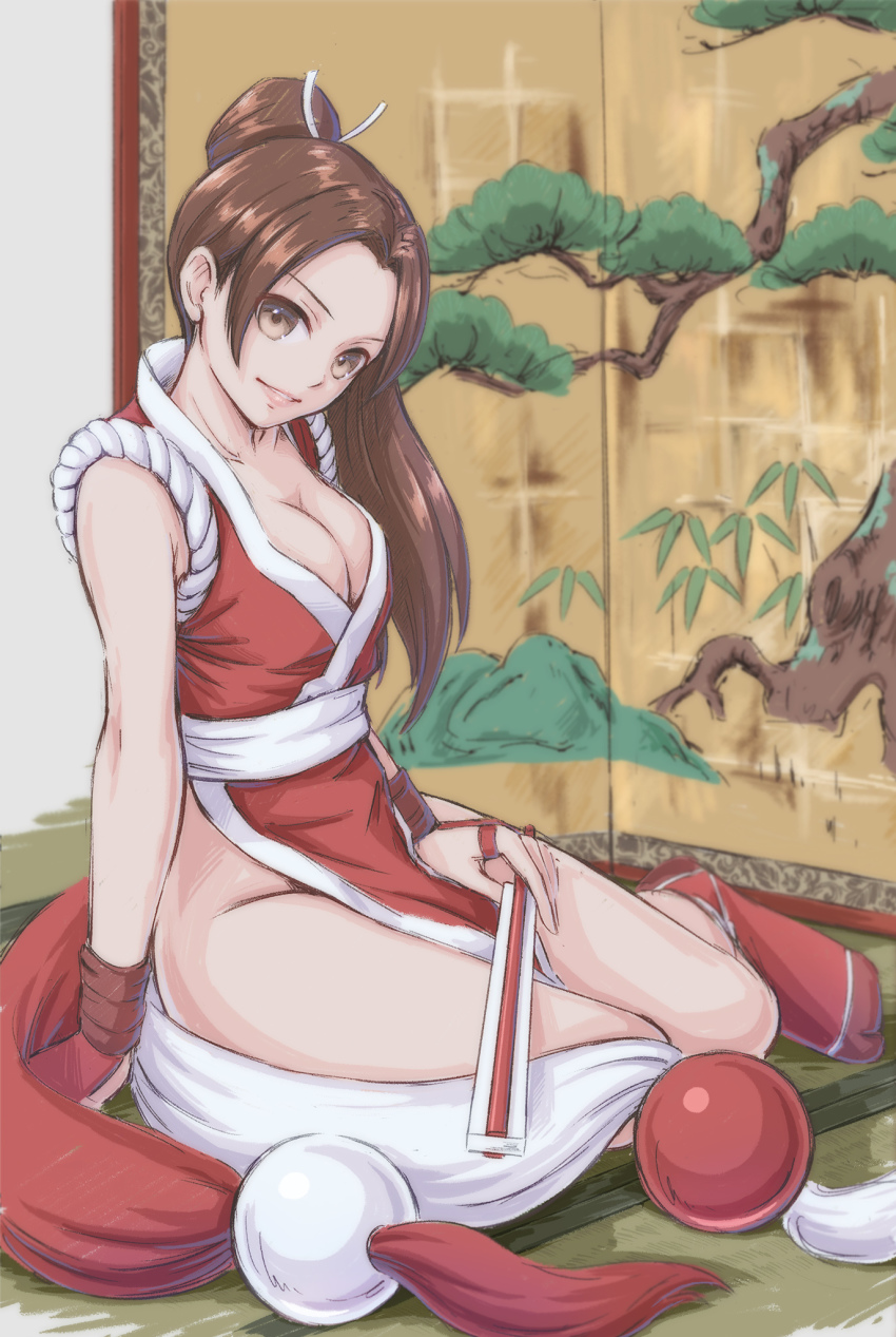 Fatal Fury Rule 34 Image