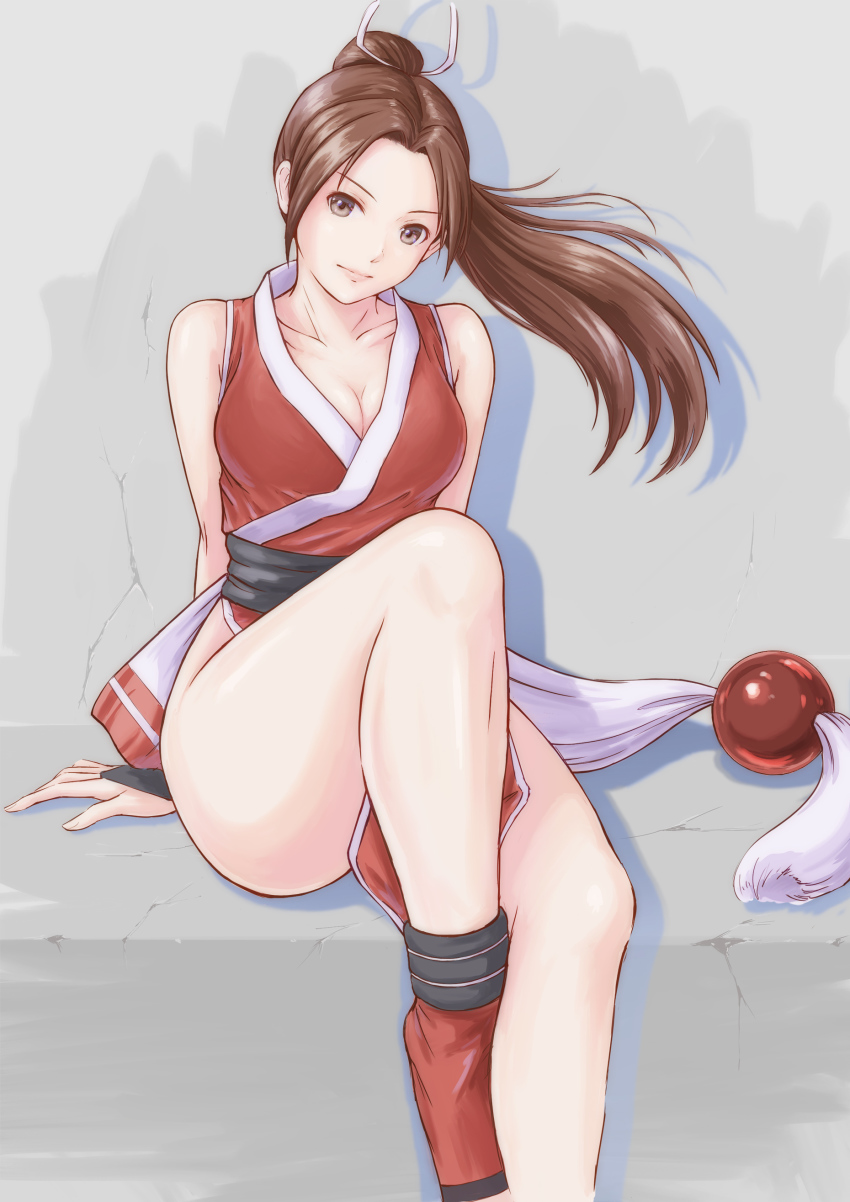 Fatal Fury Rule 34 Image