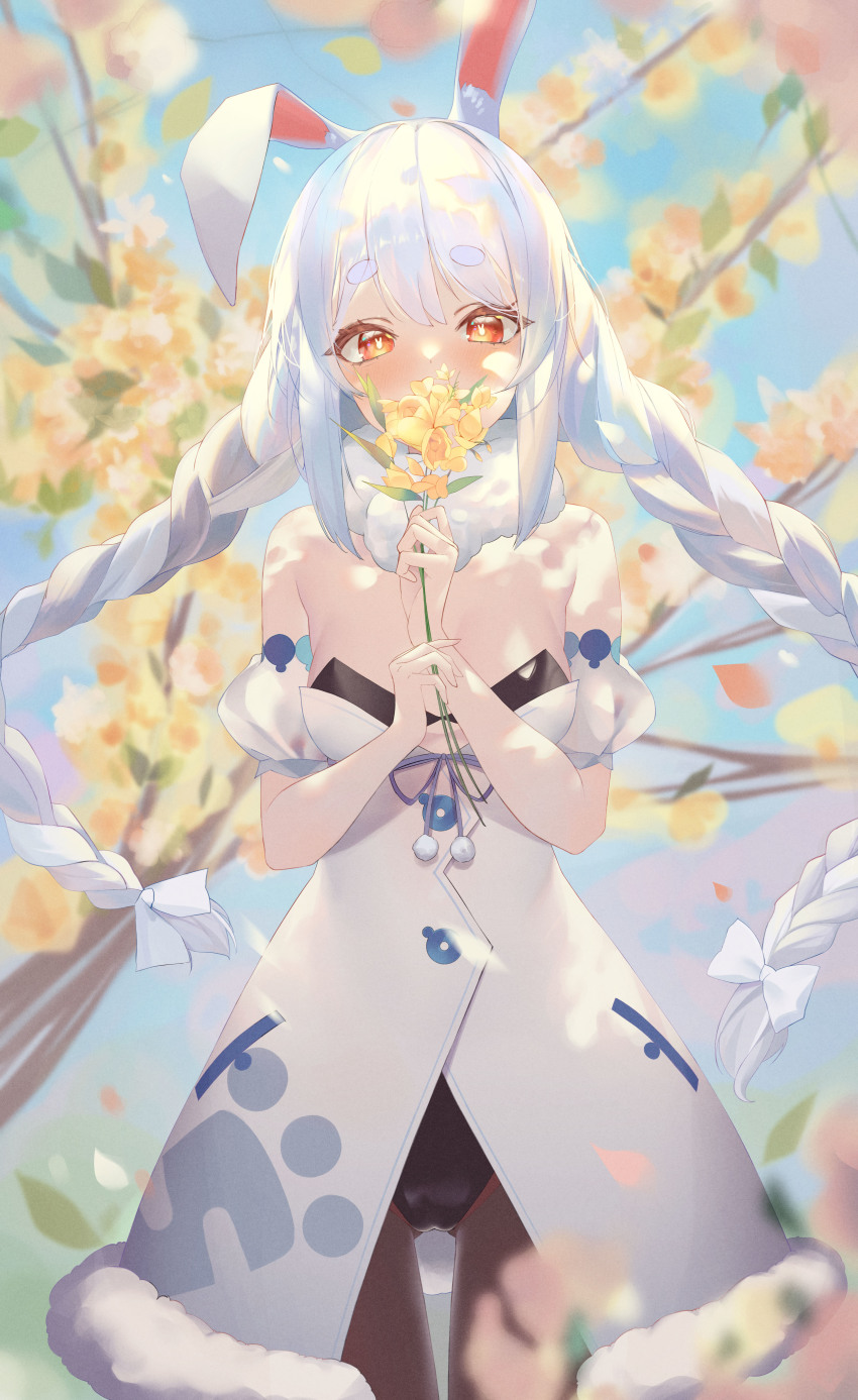 Usada Pekora (Hololive) Rule 34 Image