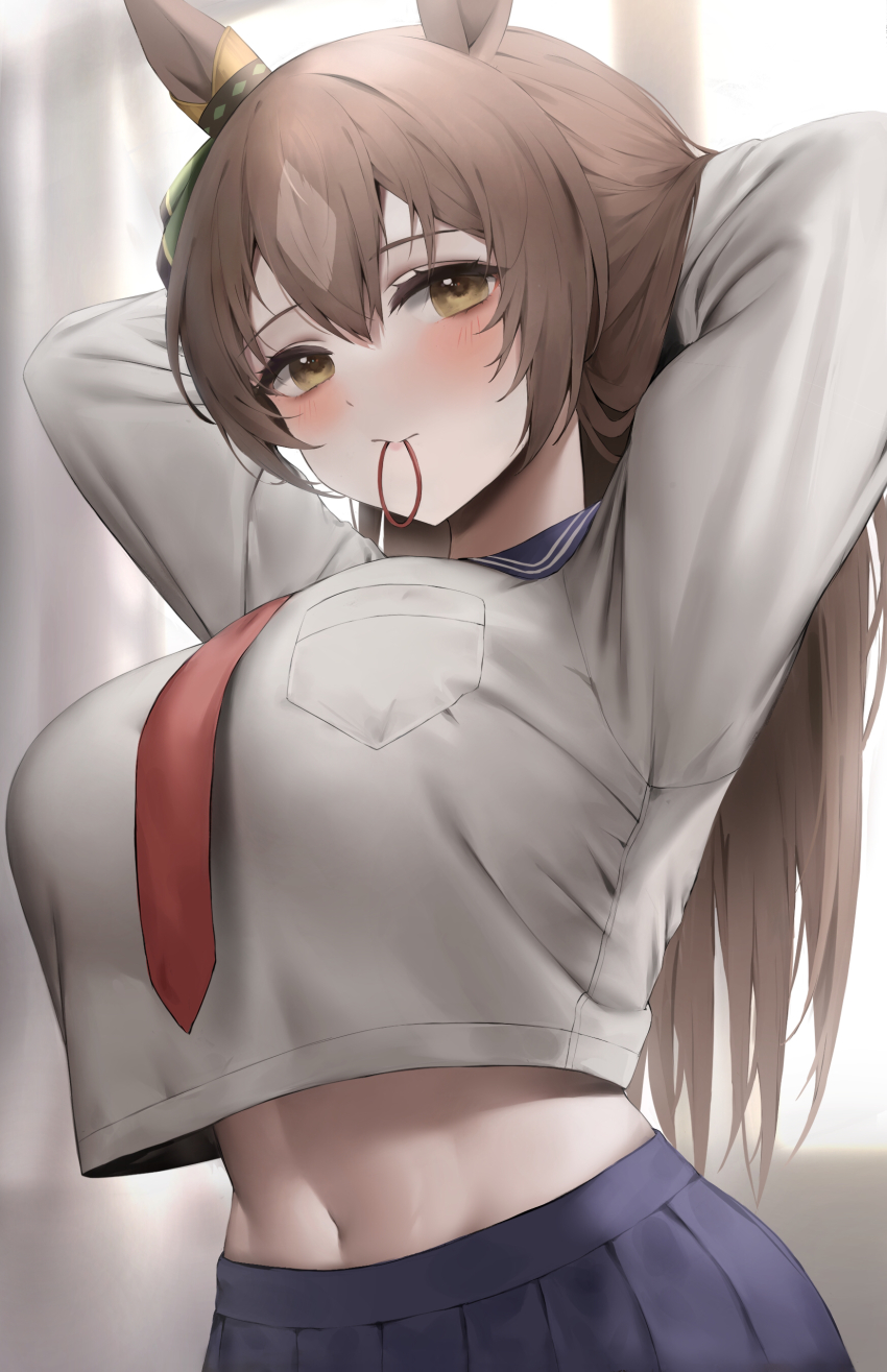Satono Diamond (Umamusume) Rule 34 Image