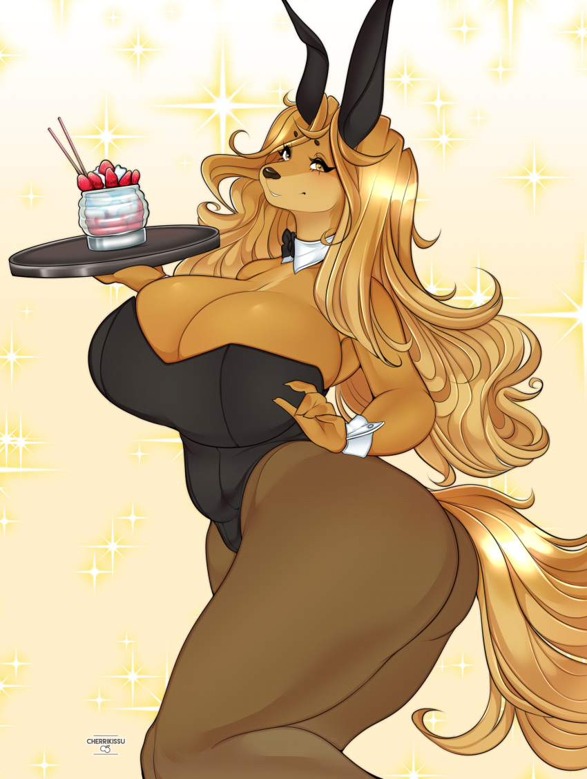 Dogmom Rule 34 Image