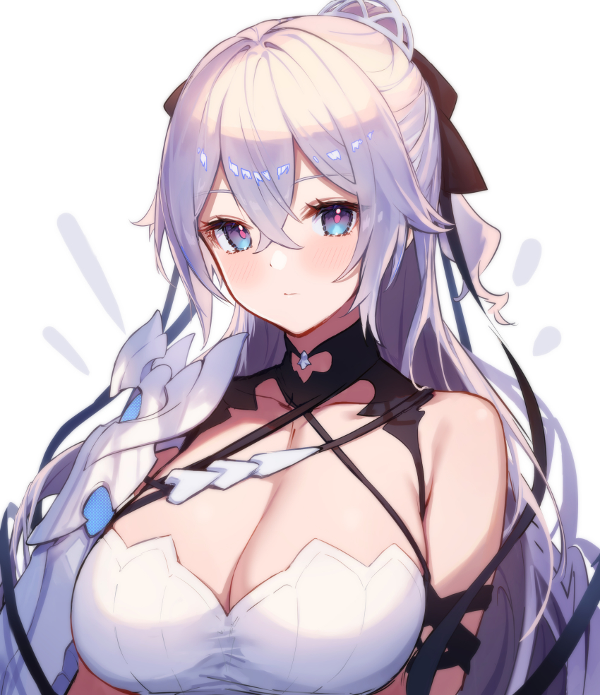 Bronya Zaychik (Honkai (Series)) Rule 34 Image